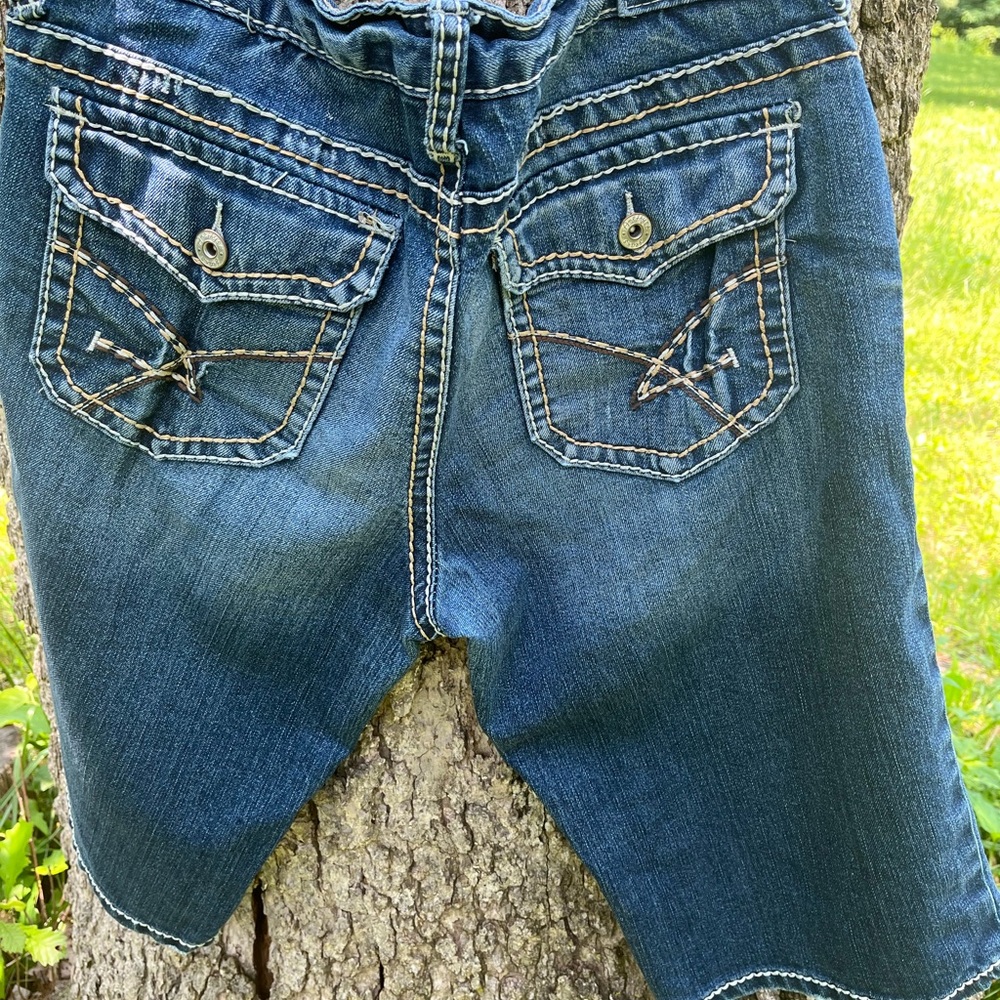⬇️Price Drop!⬇️ Amethyst Bermuda Shorts in size 11 - Picture 3 of 5